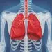 What Causes Lung Collapse