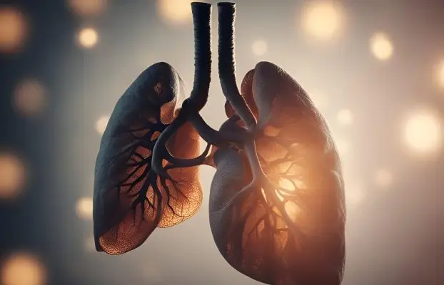 Akciğerde Nodül Nedir? 5 Yaygın Akciğerde Nodül Belirtileri