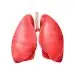 What Happens if One Lung is Removed